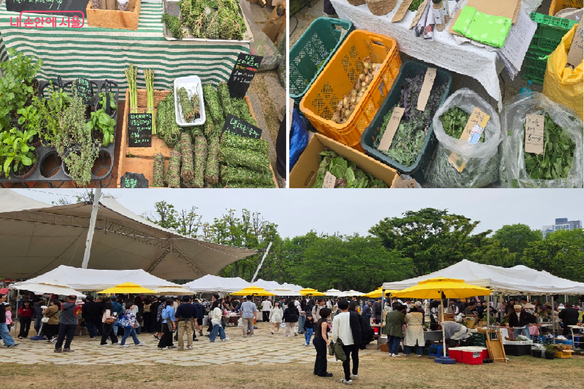 싱싱한 농산물도 사고, 화초 키우기도 배워볼까? &copy;최윤정