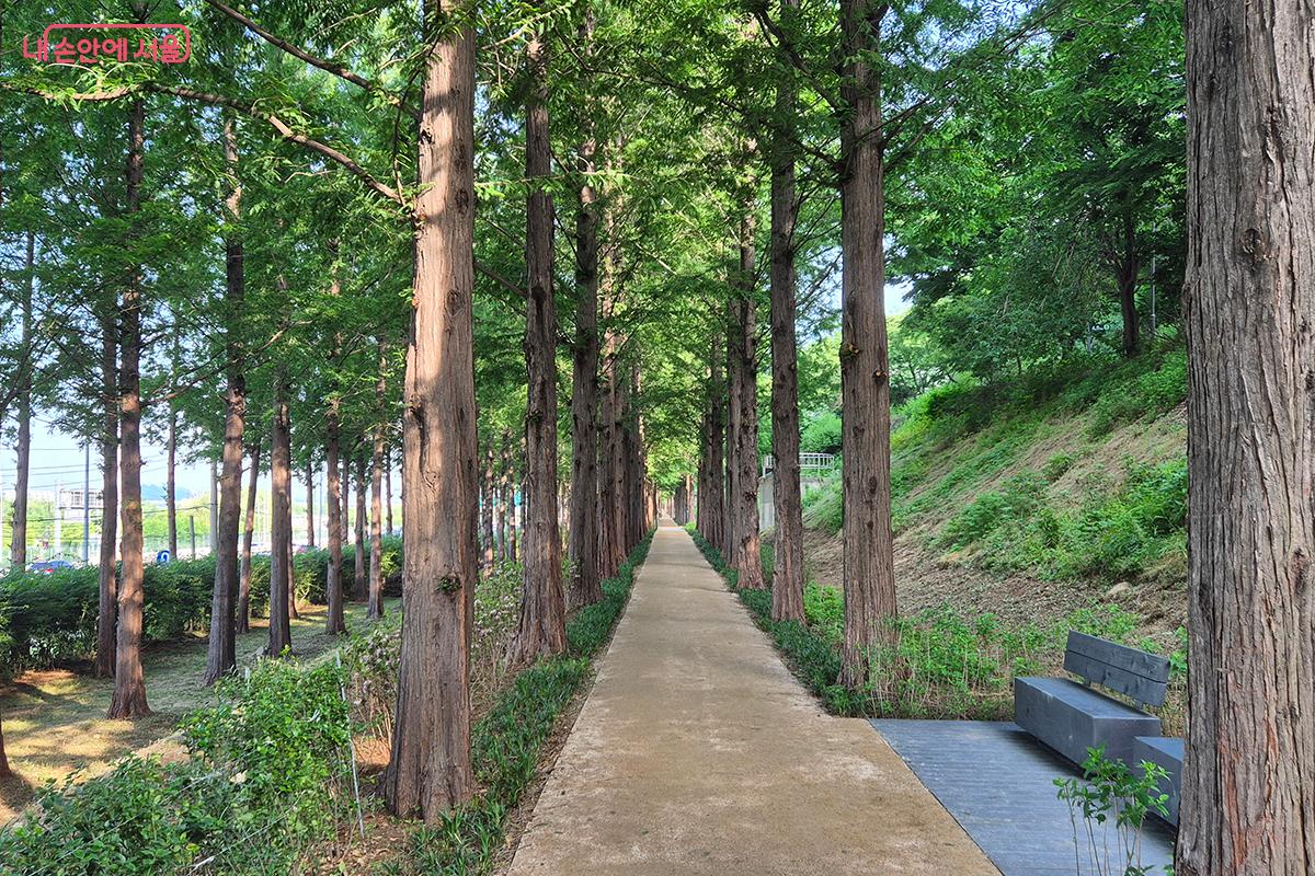 서울 월드컵공원의 변화는 도시 한복판에서 자연과 휴식, 그리고 힐링을 새롭게 경험하게 하는 놀라운 선물과 같았다.