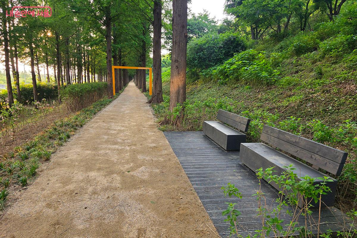 노을공원 메타세쿼이아길 입구, 휴식 공간도 마련되어 있다. &copy;이정민