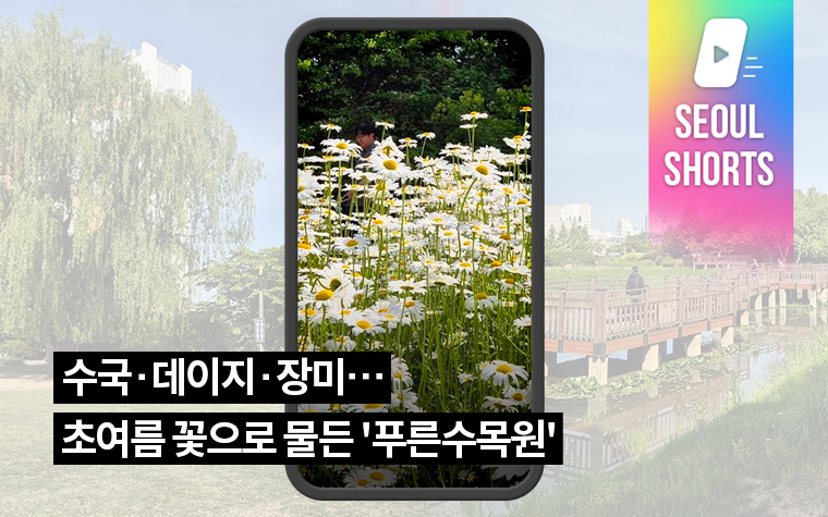수국&middot;데이지&middot;장미&hellip;초여름 꽃으로 물든 '푸른수목원'