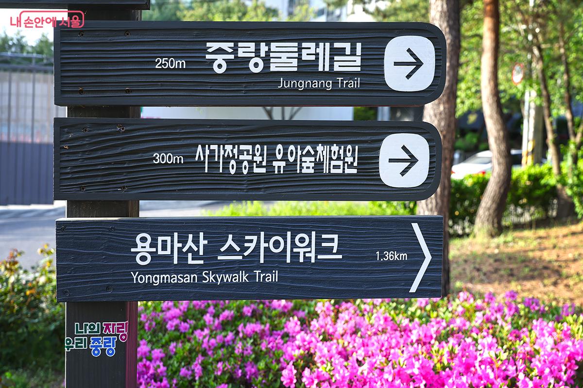 걷기좋은 중랑구 다양한 숲길 코스 ©김주연