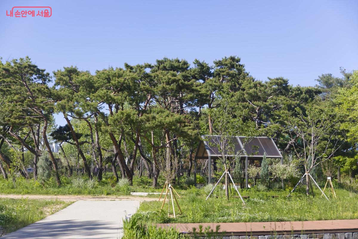 목동반려숲이 잘 관리되고 있는 모습이다. &copy;임중빈