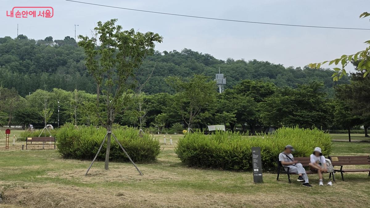 난지한강공원 스타숲을 찾은 시민 모습