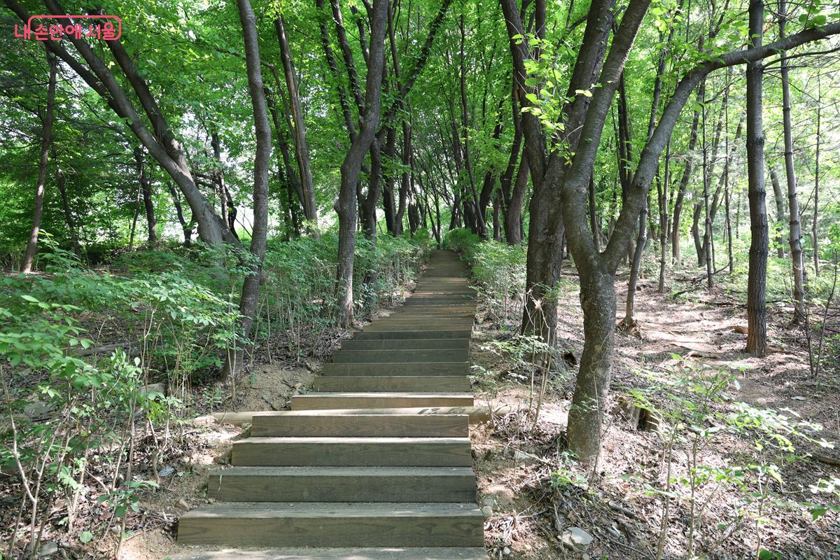 숲 속을 걷는 듯한 산책로가 이어진다. &copy;박우영