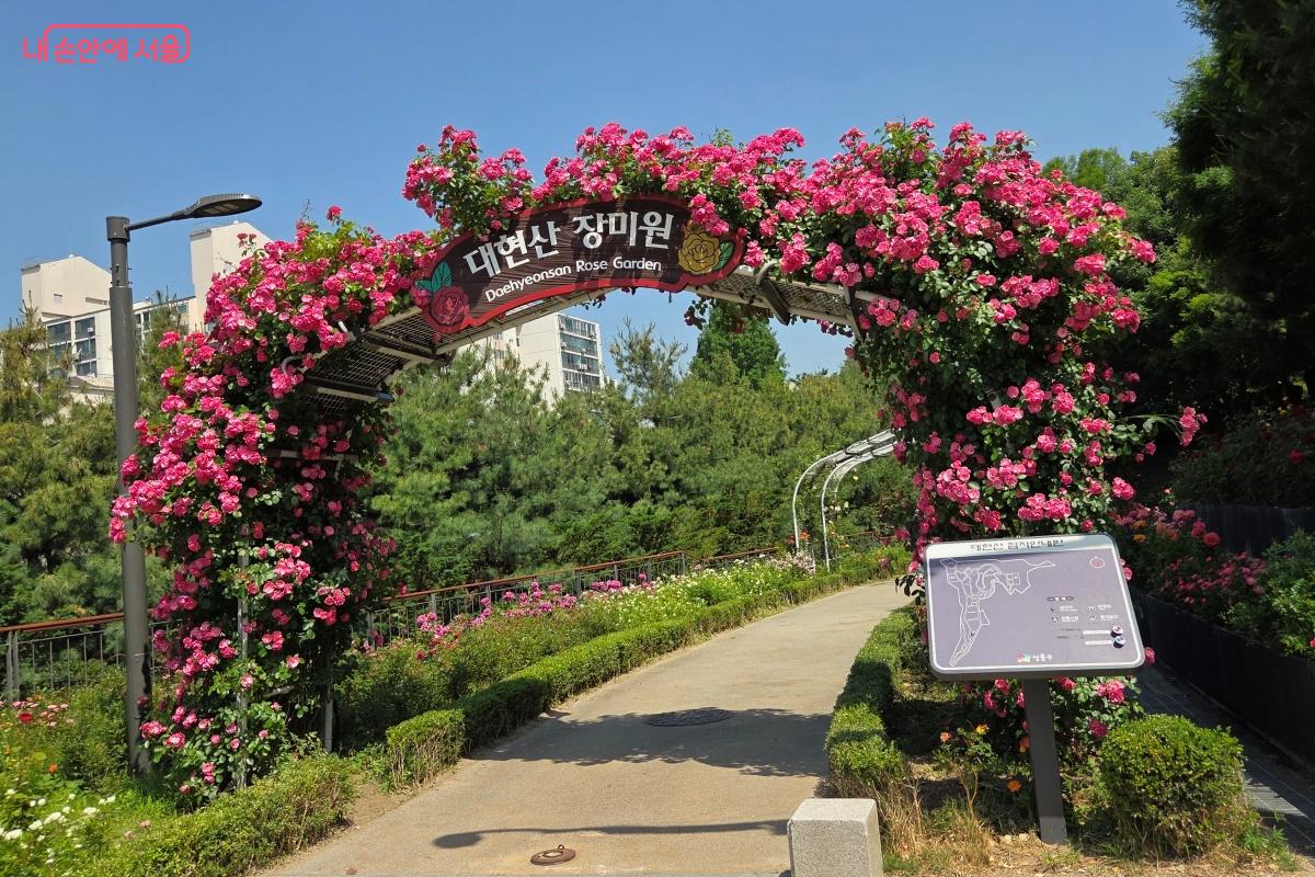 장미 아치를 지나 산책로를 걸어간다. &copy;김미선