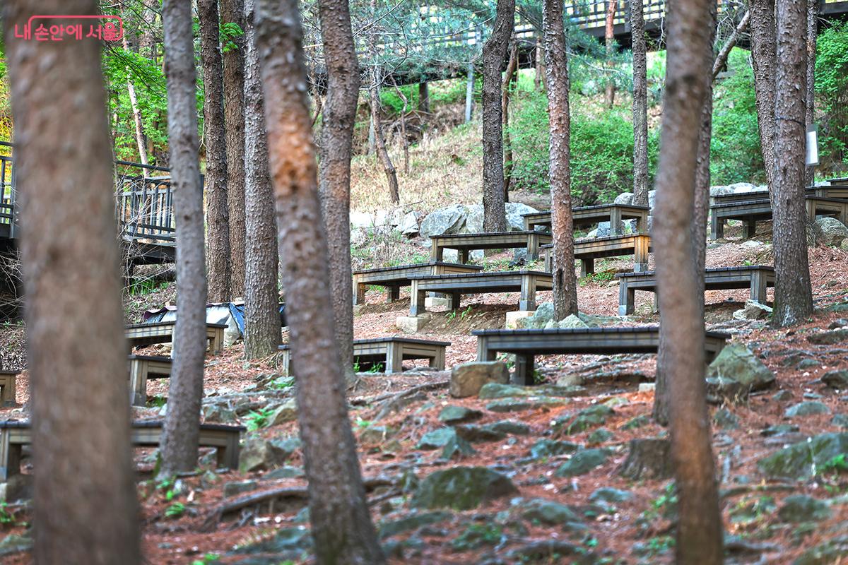 치유의 숲과 다양한 쉼터 등 곳곳에 여유로운 체험 숲이 잘 조성되어 있다 ©김주연