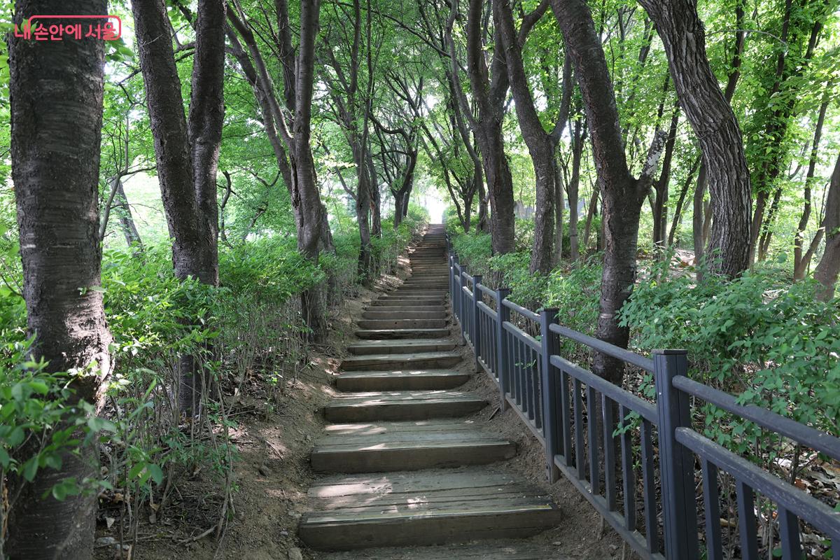 나무 계단 산책로가 잘 조성되어 있어 걷기 편하다. &copy;박우영