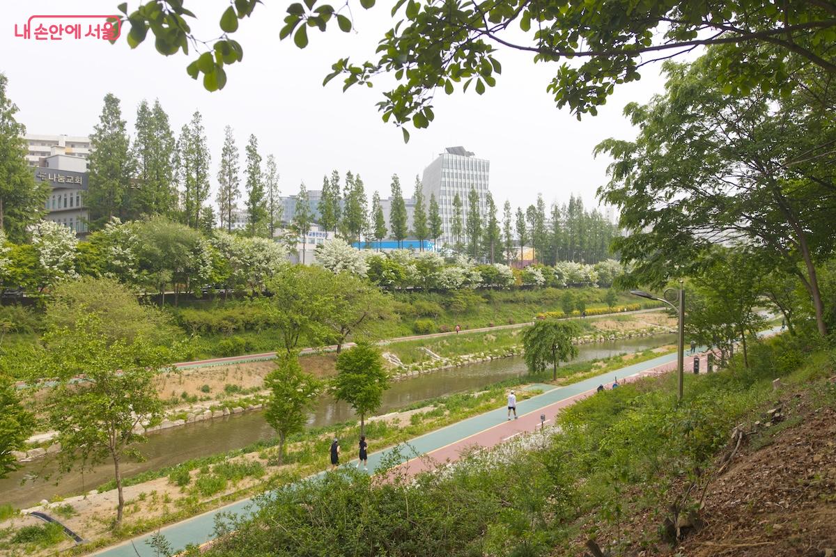폭포 맞은편에는 수변테라스 카페도 조성중이어서 서로 좋은 풍경을 선사해줄 것이다