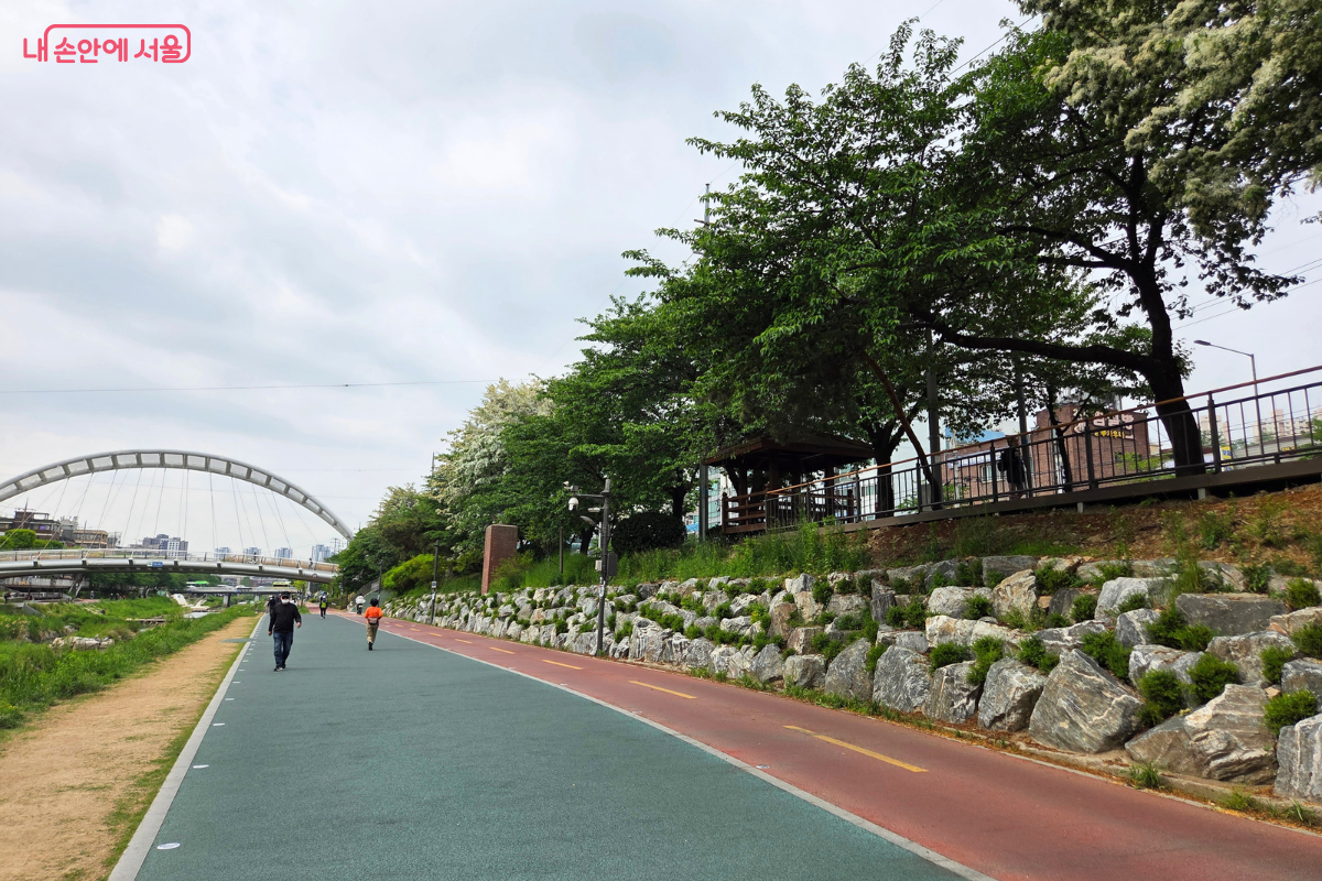 초록 풍경이 이어지는 불광천 산책로 ©김승아