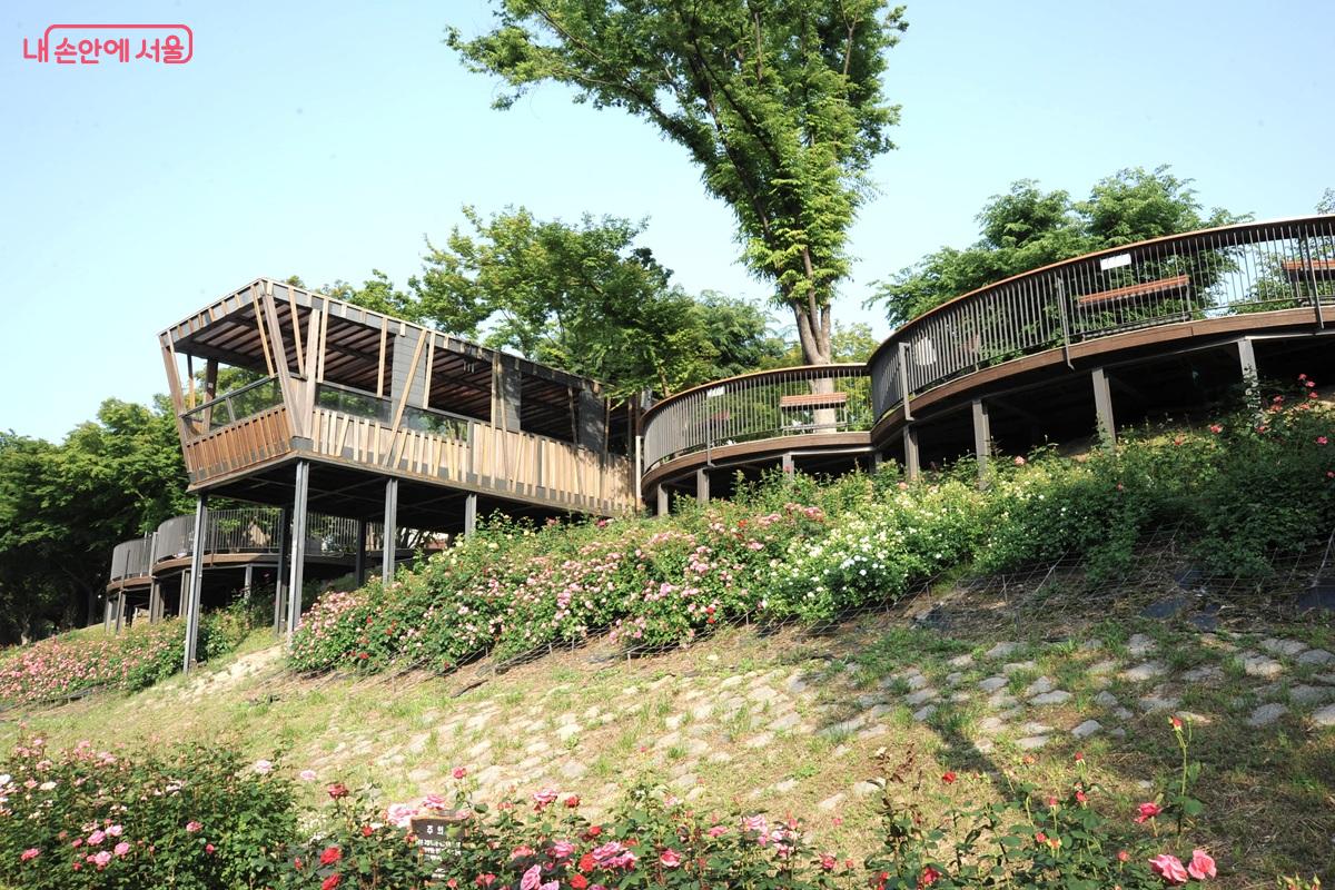 휴식 및 힐링 공간인 &lsquo;장미전망대&rsquo; &copy;조수봉