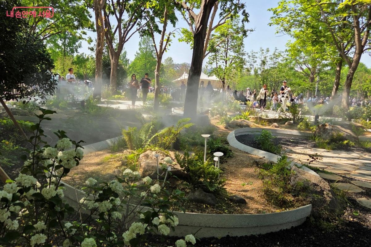 미스트가 만들어내는 몽환적인 숲속을 경험한다. &copy;김미선