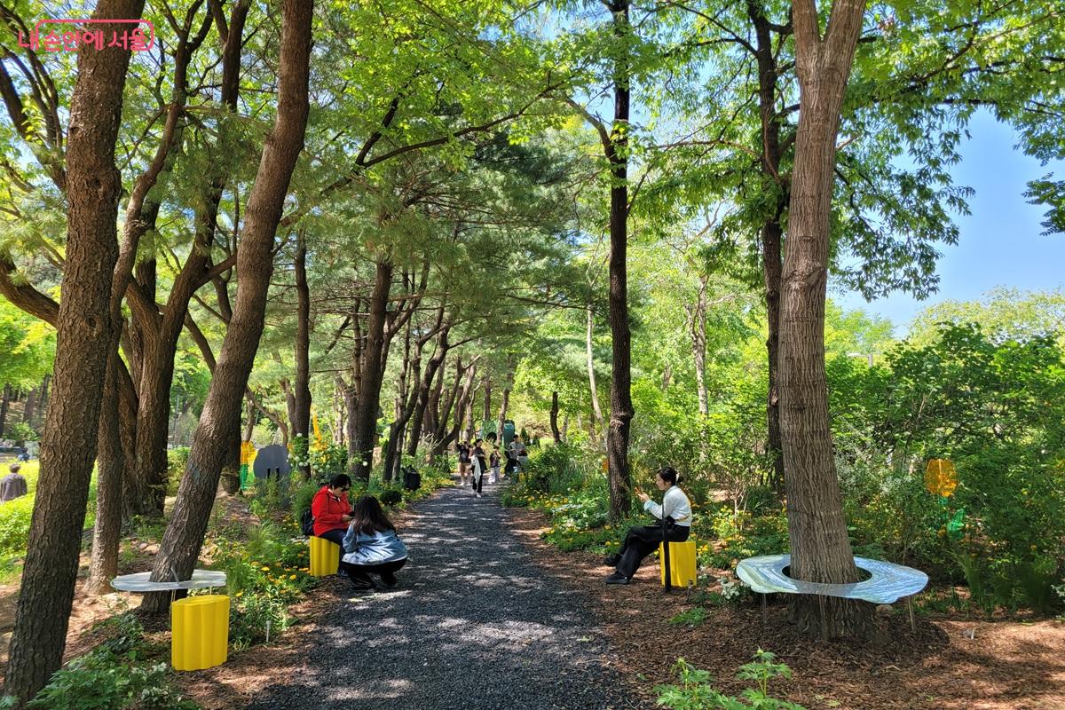 도심 속 숲길에 조성된 정원 산책로는 시민들에게 힐링 공간이 되어주었다. &copy;조연