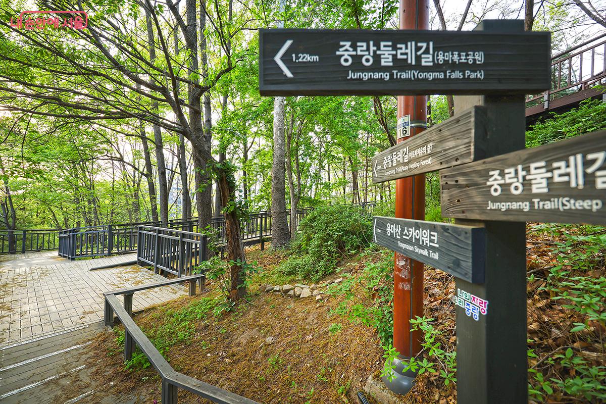 사가정공원에서 부터 시작되는 용마산 스카이워크 산책 길 ©김주연