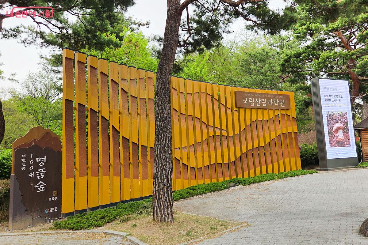 대한민국 100대 명품숲으로 선정된 국립산림과학원 홍릉숲 입구 ©이다현