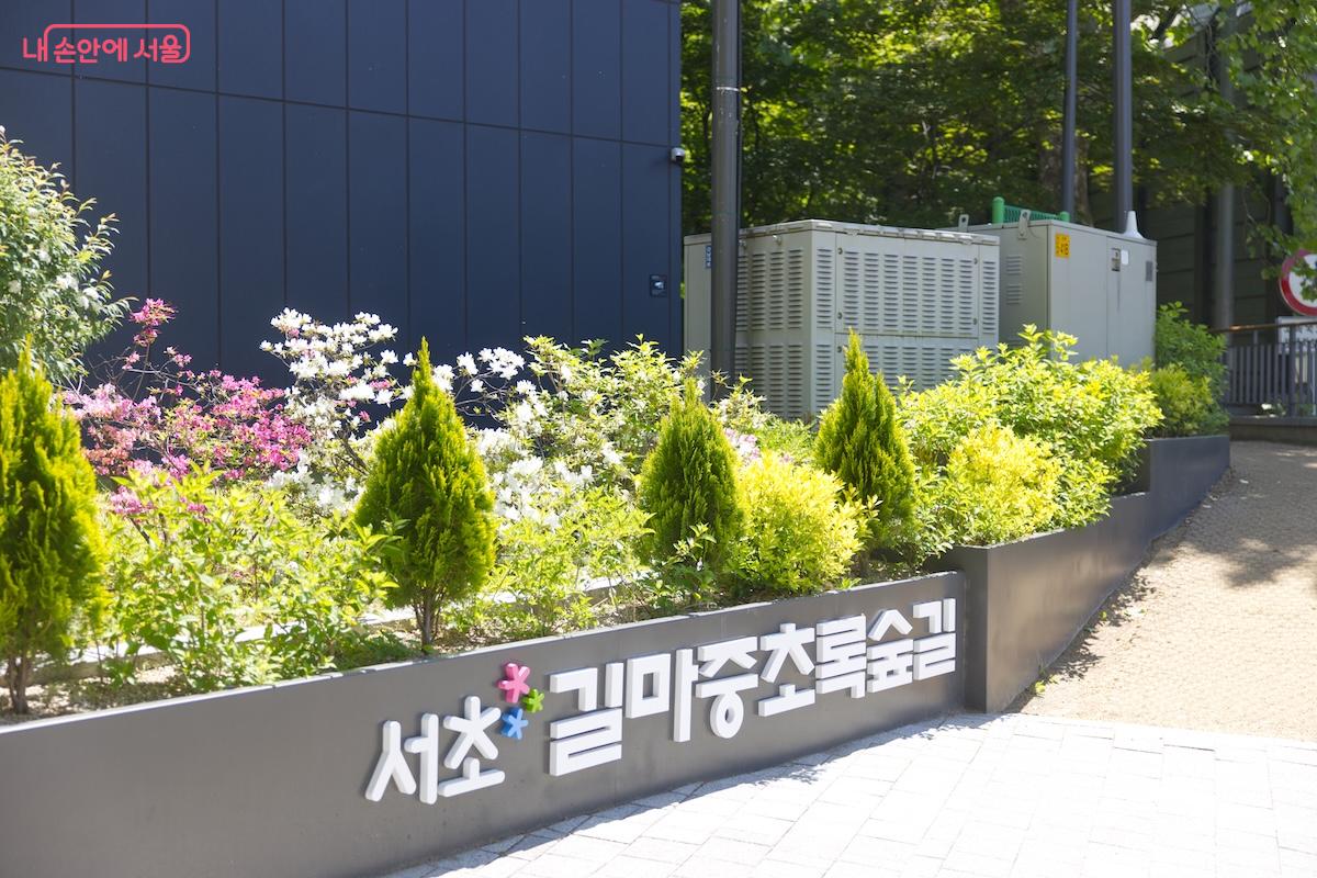경부고속도로 옆에 이런 멋진 길이 있다는 것이 놀라웠다