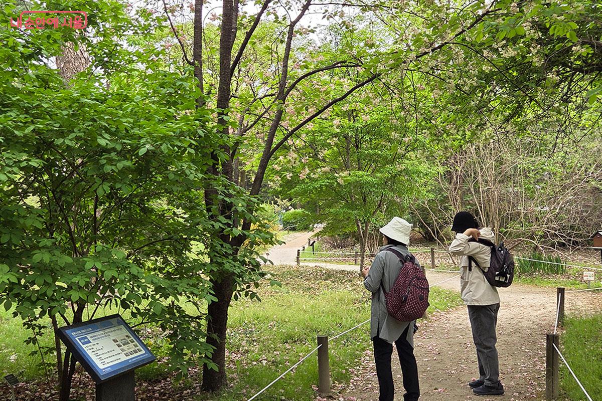 숲길을 산책하며 상세하게 식물들을 살펴보는 시민들 ©이다현