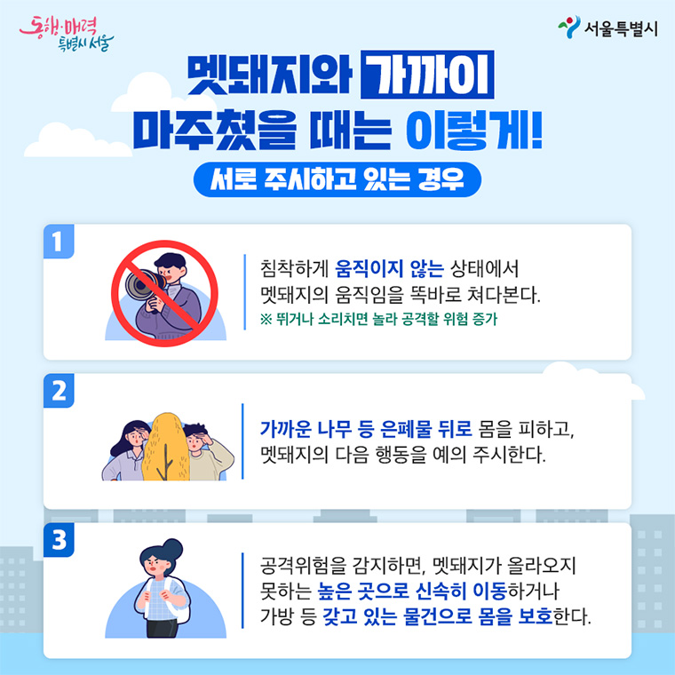 멧돼지와 가까이 마주쳤을 때는 이렇게