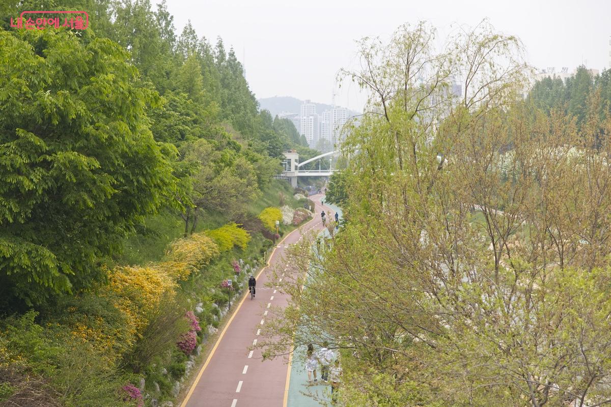 올해 봄은 월드컵천의 변화를 몸소 느낄 수 있는 계절이라고 할 수 있다