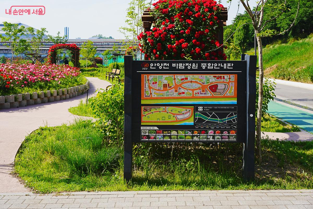 초록색 풀숲과 화려한 붉은 장미 화단 사이에 세워진 구로구 안양천 바람정원 종합안내판의 정경
