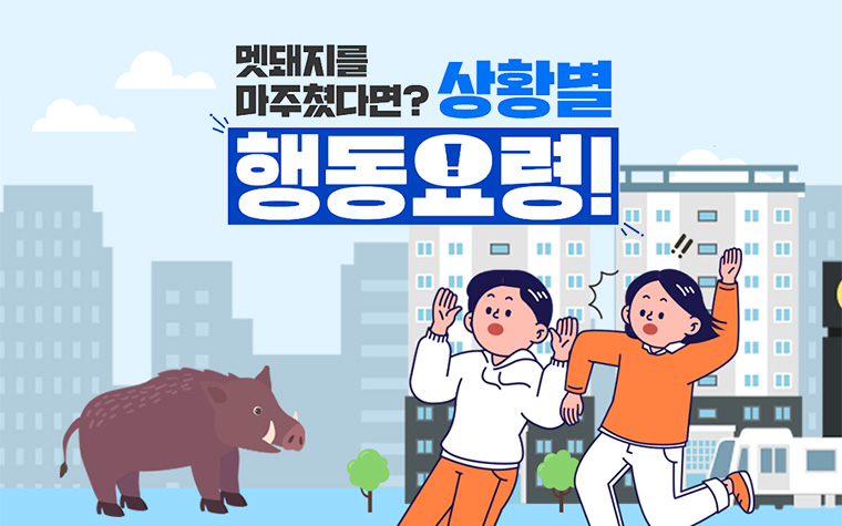 멧돼지 만나면 어떡하지? 상황별 행동요령 알아둬야지!