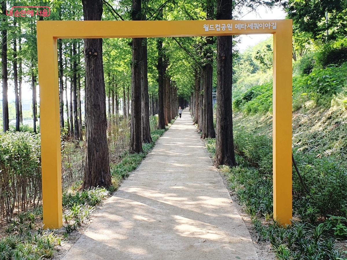 메타세쿼이아길을 한 폭의 그림처럼 담고 있는 프레임 조형물 ©엄윤주