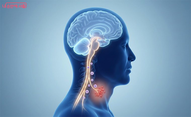대상포진은 통증 이후 발생할 수 있는 합병증이 더 무서운 질병이기도 하다. AI 활용 이미지.