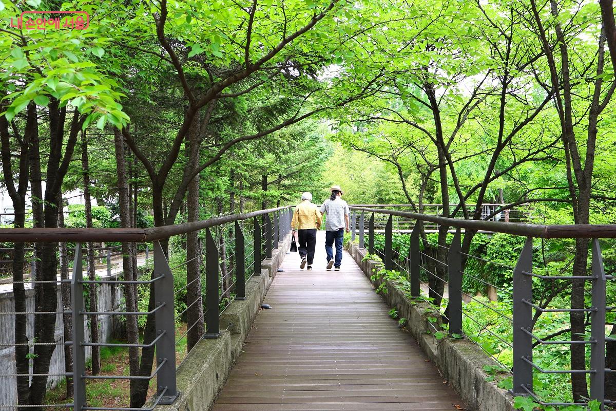 시간의 정원, 초여름 신록 아래 이어진 보행 데크 &copy;이봉덕 