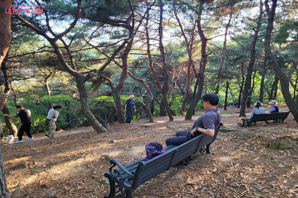숲속 벤치에 앉아 휴식을 즐기는 시민들 &copy;조연