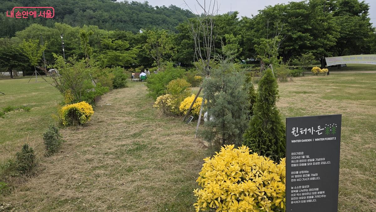 스타숲 윈터가든 ⓒ최용수