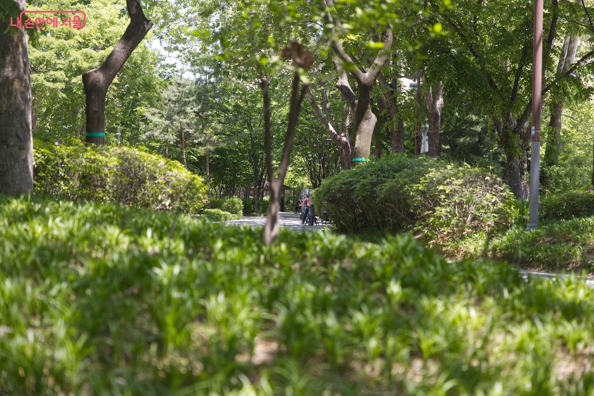 서초구 길마중 초록숲길을 걸으며 끝까지 이동하면 잠원한강공원까지 닿을 수 있다