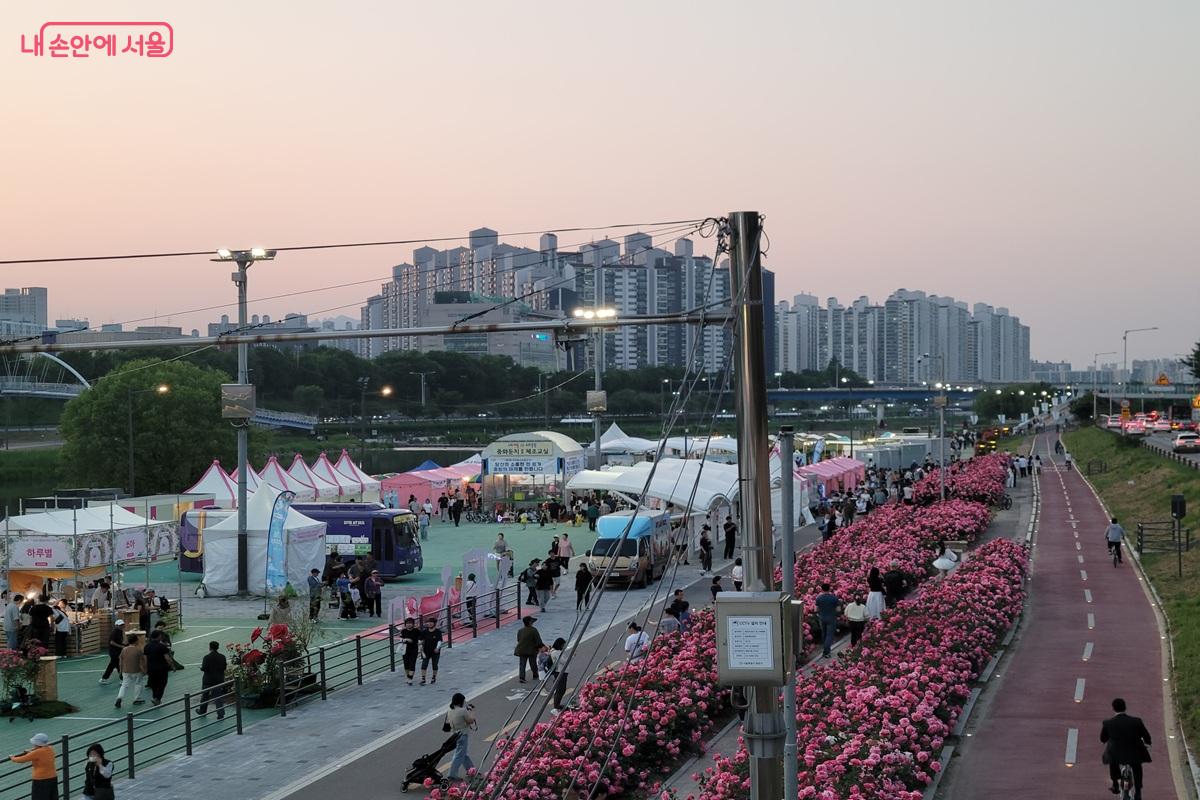 노을빛으로 물든 중랑천 장미길과 축제 공간, 새로운 수변문화공간의 풍경 &copy;조연