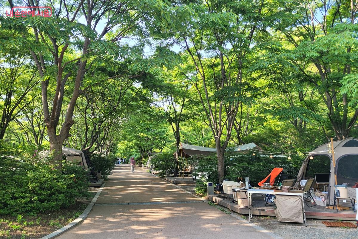 시민들이 가까운 생활권 속 자연 휴식을 즐기고 있다. &copy;조연