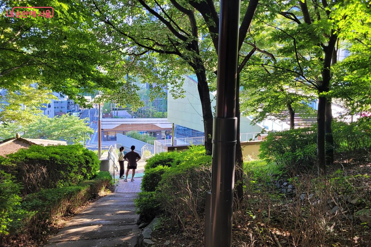 숲길에서 바라본 내를건너서숲으로도서관과 녹음이 우거진 산책로 &copy;조연