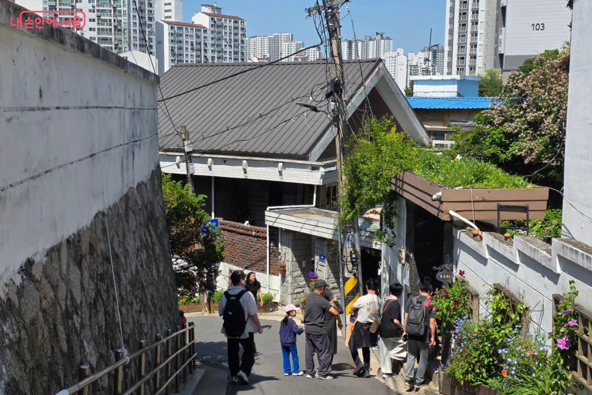 담장 아래도 담벼락도 주민들이 모두 힘을 모아서 가꾼 정원들 &copy;최정윤