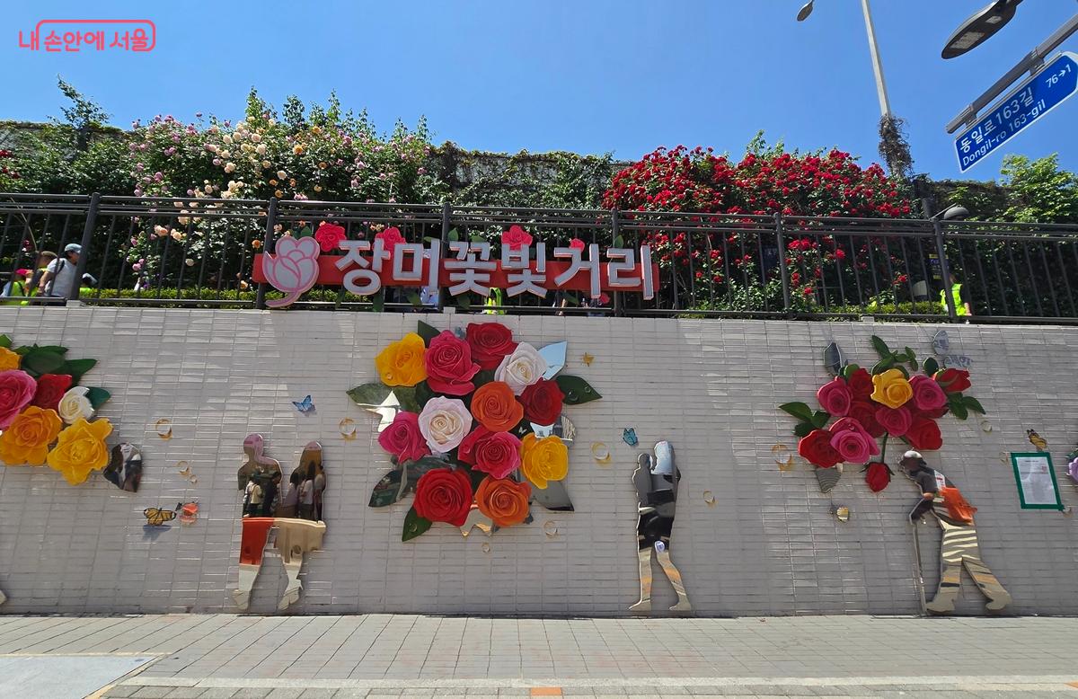 장미꽃빛거리 &copy;조성희