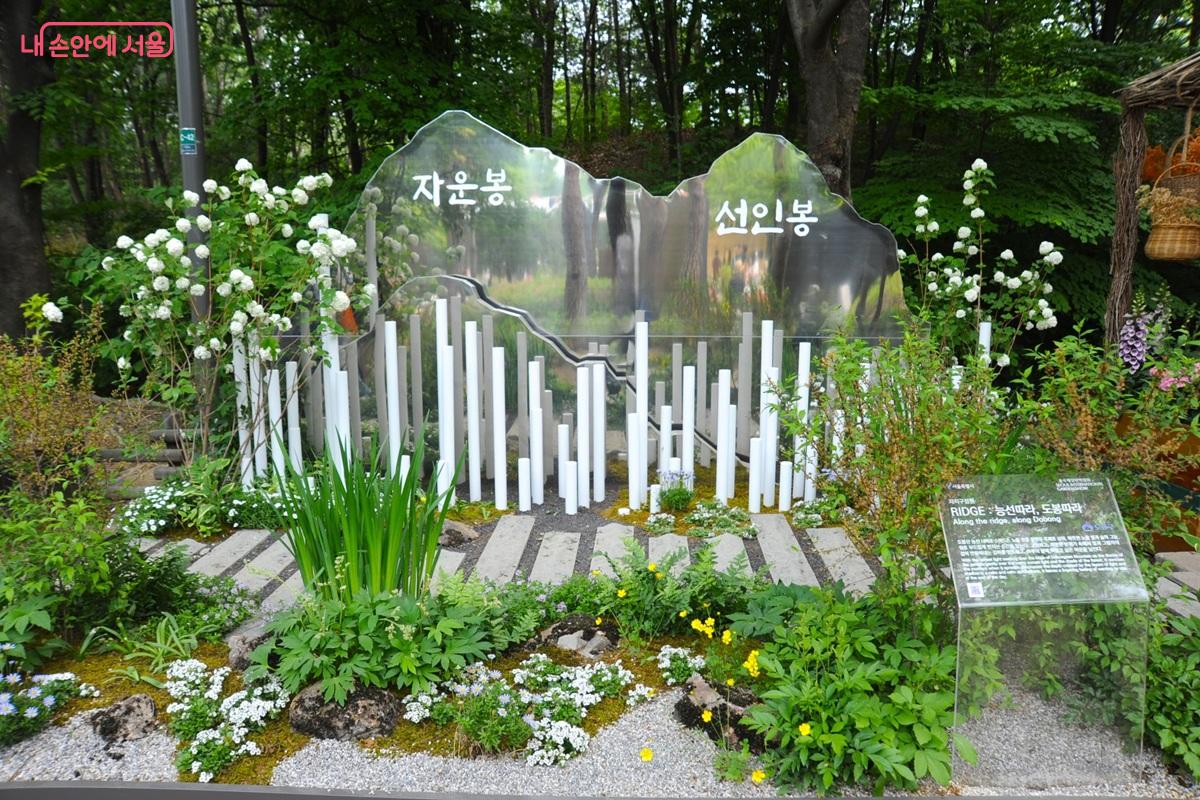 도봉구 참여작 &lsquo;RIDGE : 능선따라, 도봉따라&rsquo; &copy;조수봉