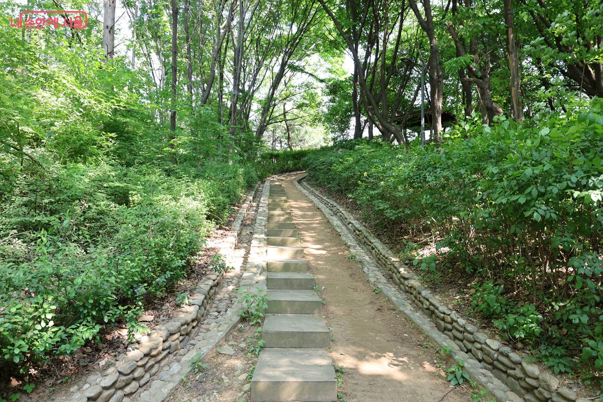 해발 78m의 나지막한 용왕산은 산책하듯 걷기 좋은 산이다. &copy;박우영