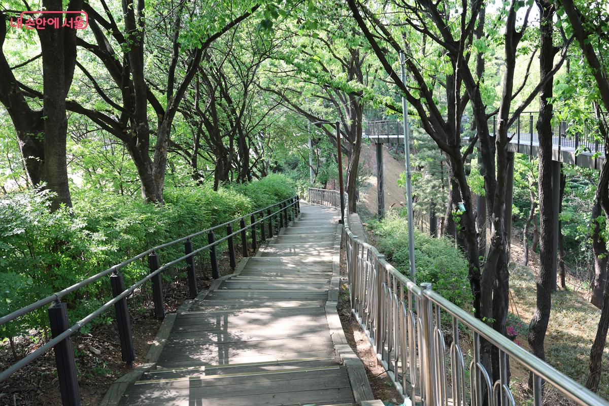 내려가는 길 역시 나무 데크 계단으로 잘 조성되어 있다. &copy;박우영