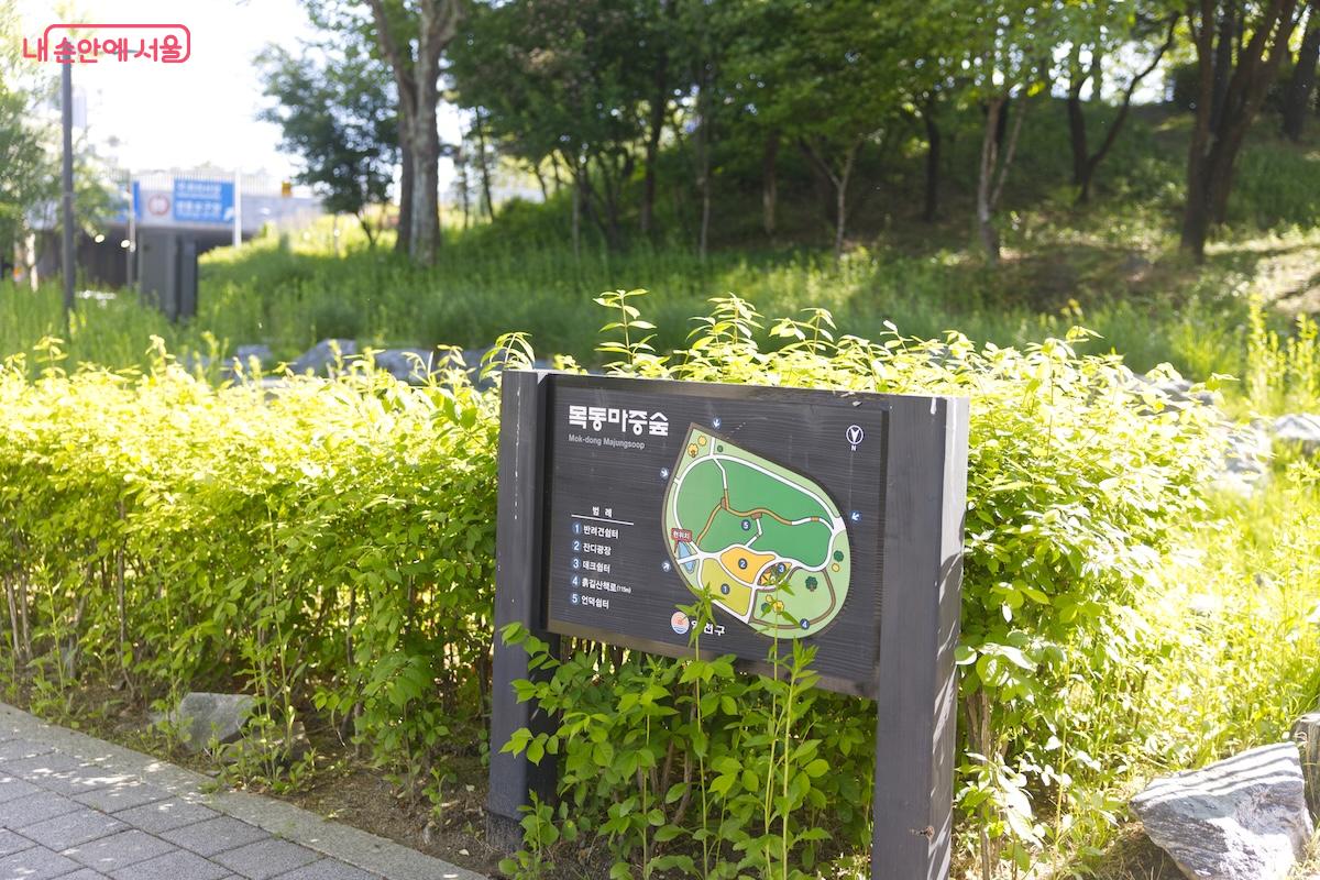 목동마중숲을 지나면 안양천 멀티스포츠존이 나온다. &copy;임중빈