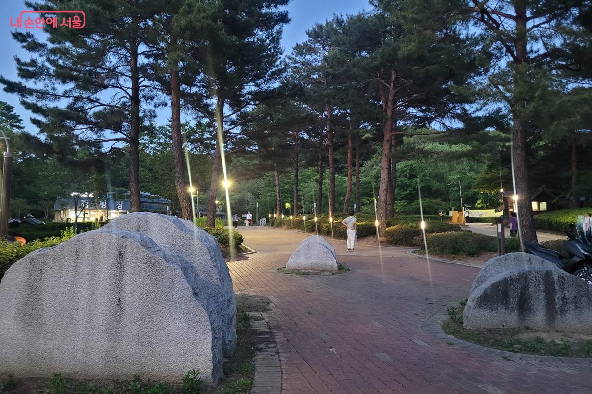 해 질 무렵 중랑캠핑숲의 숲길 &copy;조연