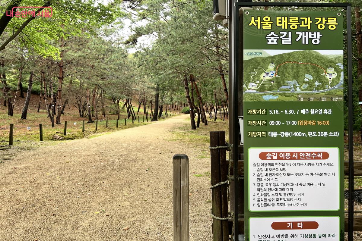태릉부터 강릉 숲길 구간은 반 이상이 오르막길이다. &copy;박지영
