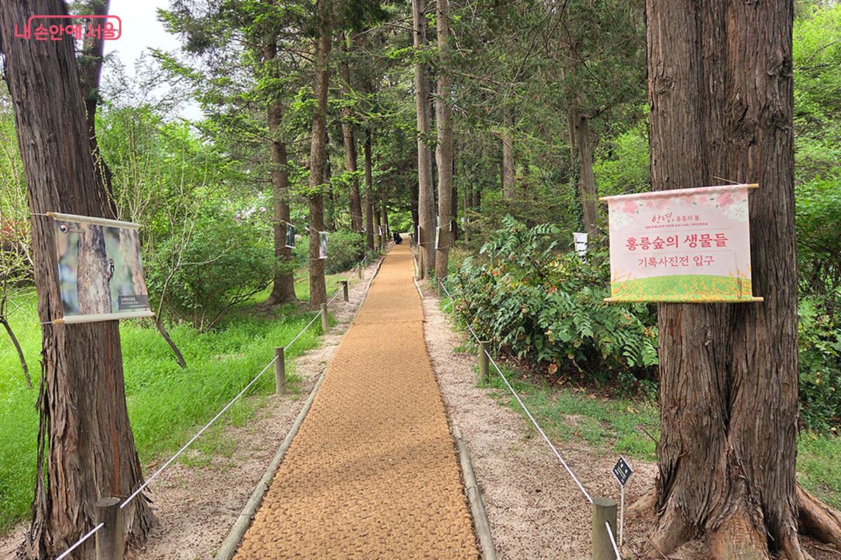 산책로에 마련된 홍릉숲의 생물들 기록사진전 입구 ©이다현