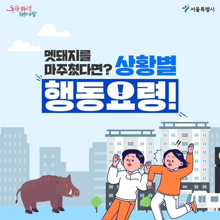 멧돼지를 마주쳤다면 차분한 대응이 피해를 줄이는 핵심이다.
