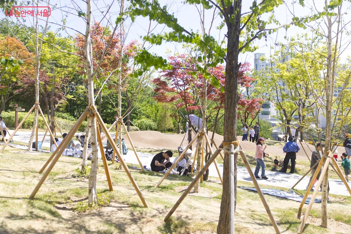 약 한 달간 운영되면서 입소문을 통해 많은 가족들이 올망졸망 놀이숲을 방문하고 있다.