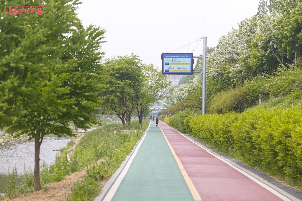 월드컵천을 산책할 때에는 성미다리쪽으로 꼭 걸어보자