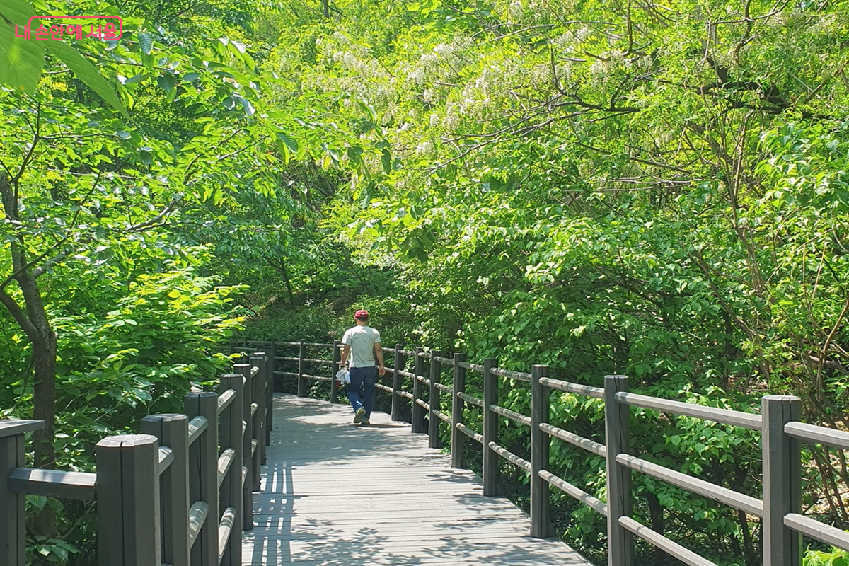 안산자락길은 순환형 무장애길로 거리는 7km다. &copy;김병규