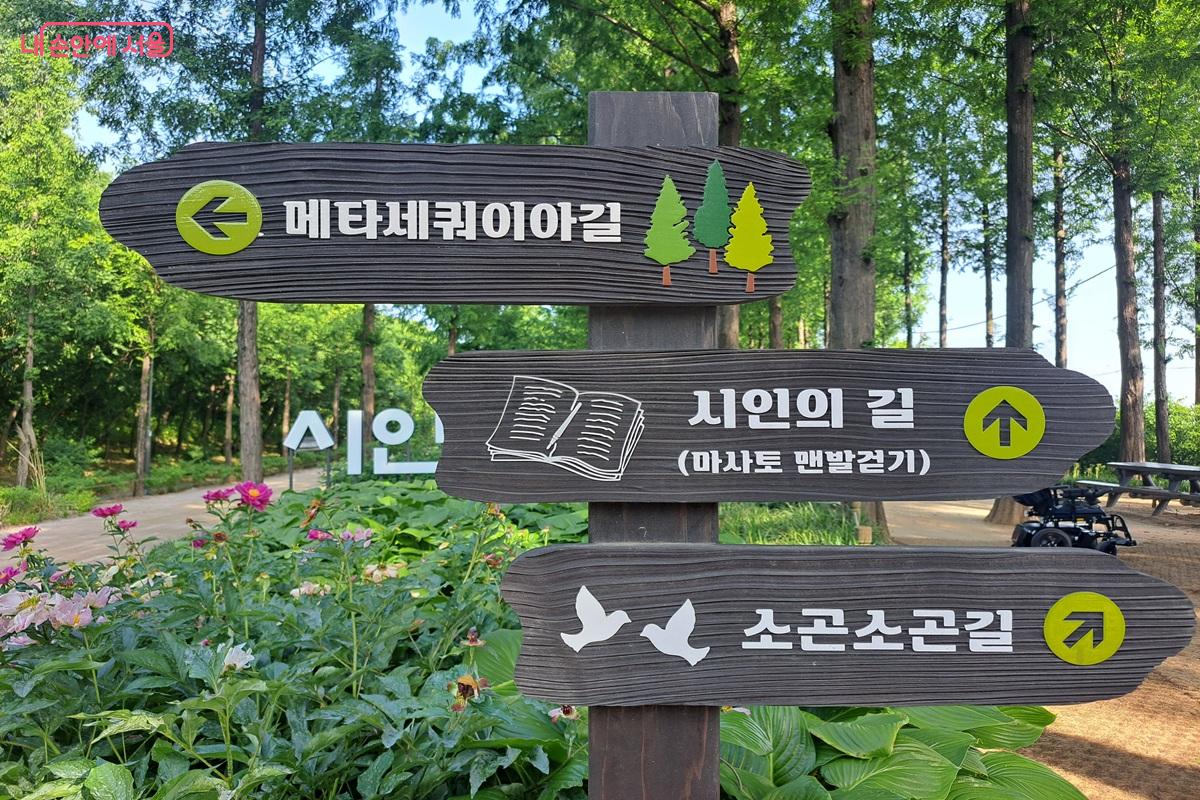 노을공원 3개의 길을 안내하는 표지판 &copy;홍지영