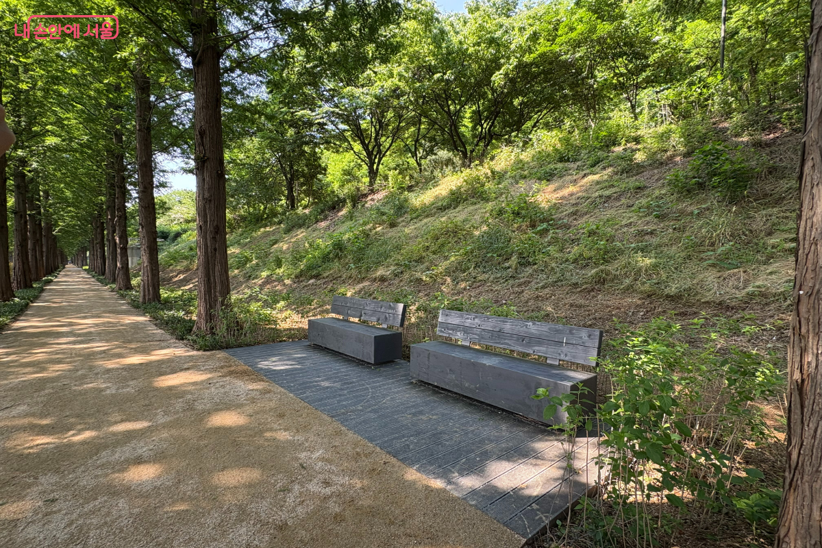 길 중간에 나무 벤치가 있어 편하게 쉬어갈 수 있다.