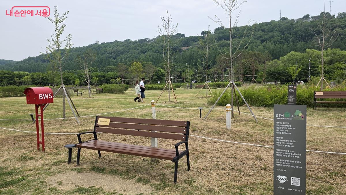스타숲에는 팬들이 심은 나무와 명패, 쉼터용 의자가 함께 설치된다. ⓒ최용수