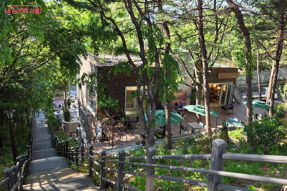 계단 아래로 초록 풍경과 어우러진 카페 야외 테라스가 한눈에 들어온다. &copy;김미선